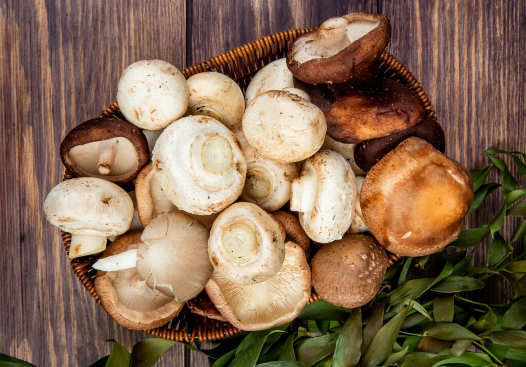 Mushrooms
