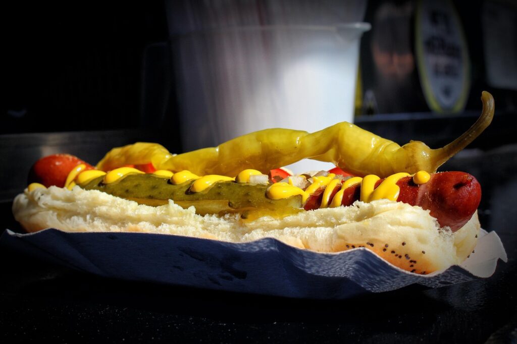 Chicago Dog
